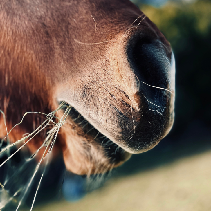 Design uden navn (28)